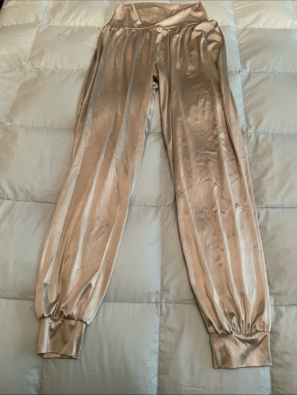 Shimmery Metallic Jogger Pants - Champagne